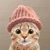 CatWifHat  logo