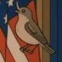 LOFIBIRD