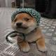 Dog Wif Durag logo