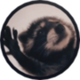 Pedro Raccoon logo