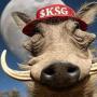 KSG
