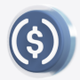 New Scam Stablecoin logo