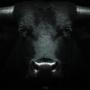 TheBull