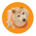 KABOCOIN logo