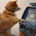 First Dog to Buy Crypto logo