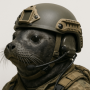 Seals