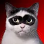 ZORRO