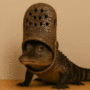 GATORS