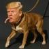 Trump Dog  logo