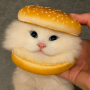 burcat