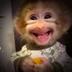 Baby Monkey logo