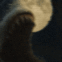 MOONSHARK