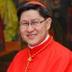 Luis Antonio Tagle logo