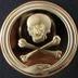 SkullCoin logo