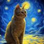 STARRY