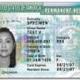 Green Card Punp logo