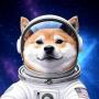 DOGESX