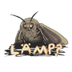 MOTH logo