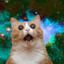galacticat logo