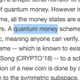 Public Quantum Coin logo
