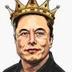 TECHNOKING OF TESLA logo