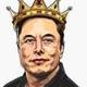 TECHNOKING OF TESLA logo