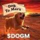 Dog Mars logo