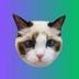 Taylor Swift's Cat logo