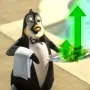 SIR