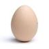 The Egg logo