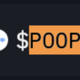 US Government Poopcoin logo