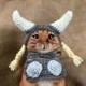 Floki Cat logo