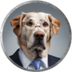 Big Dog Fink logo