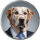 Big Dog Fink logo