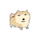 donk logo