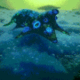 FIRST ALIEN LIFE DISCOVERED logo