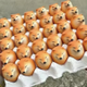 Temu DOGE Eggs logo