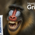 Milie Monkey logo