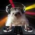 House DJ logo