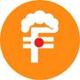 foolcoin  logo