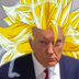 Trump Saiyan God logo