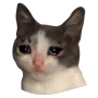 SADCAT