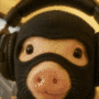 PIGWIFMASK