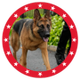 MAGA DOG logo