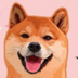 MAO Community logo