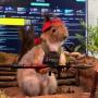 RAMBUS