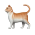 Cat logo