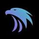 Solana Hawk logo