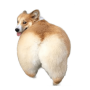 Bonkey