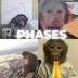 Phases Of Degen logo